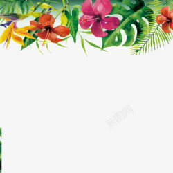 热带雨林锦簇的花朵树叶手绘边框素材