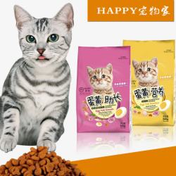 猫粮宠物店宣传单素材