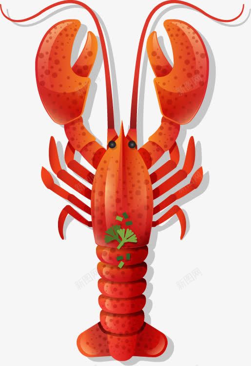 扁平化卡通美食龙虾png免抠素材_88icon https://88icon.com 卡通 卡通小虾 卡通美食 卡通食物 卡通饮食 大虾 扁平化美食 手绘 美食 虾 西餐 食物 龙虾