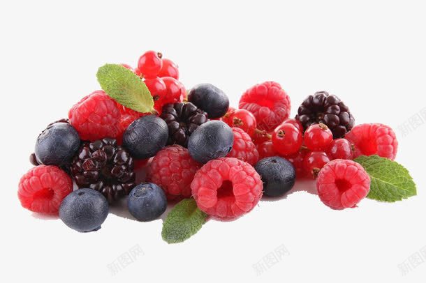 食物水果补充维生素营养桑葚树莓png免抠素材_88icon https://88icon.com 树莓 桑葚 水果 维生素 营养 补充 食物