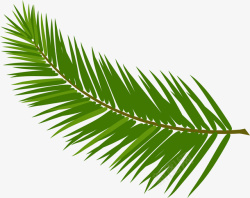棕榈树树叶卡通绿色棕榈叶高清图片