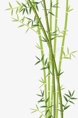 墙面一片绿色竹子高清图片