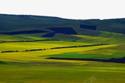 唿伦贝尔旅游内蒙古呼伦贝尔草原高清图片