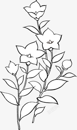 线性花朵手绘装饰线描花朵叶子物图图标高清图片