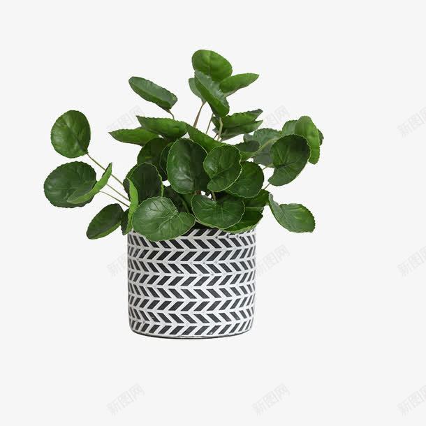 花纹图案的花盆和绿植png免抠素材_88icon https://88icon.com 中式盆栽 叶子 植物 盆景 盆栽 绿植 花盆 花纹图案