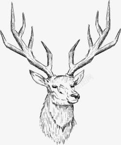 麋鹿头壁饰素描鹿头矢量图高清图片