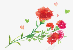 母亲节手绘水彩插画康乃馨花束素材