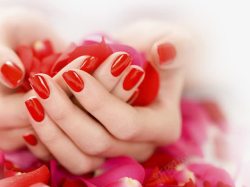 红指甲手指女人的手捧花瓣高清图片