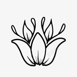 花角黑白装饰手绘花卉高清图片