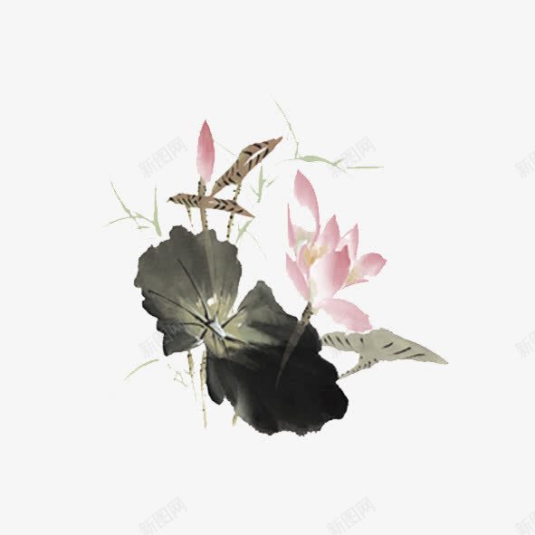 荷叶png免抠素材_88icon https://88icon.com 水上植物 水墨画 绿色植物 荷叶 荷花