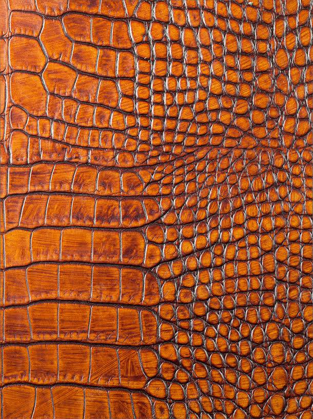 鳄鱼皮纹理jpg设计背景_88icon https://88icon.com 图片素材 底纹背景 材质贴图 皮革 皮革材质 真皮 纹理背景 背景花边 鳄鱼皮 鳄鱼皮纹理图片 鳄鱼皮纹理图片素材下载