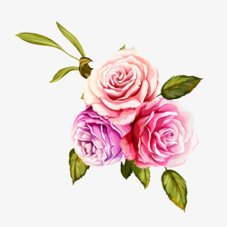 玫瑰花纹理情人节玫瑰花案矢量图高清图片