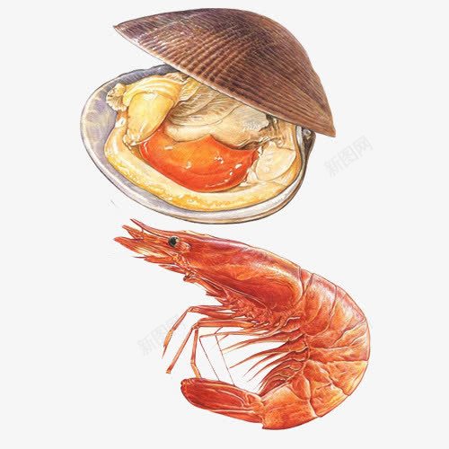 海鲜烧烤手绘画片png免抠素材_88icon https://88icon.com BBQ 扇贝 手绘美食 新鲜的扇贝 海虾 烧烤