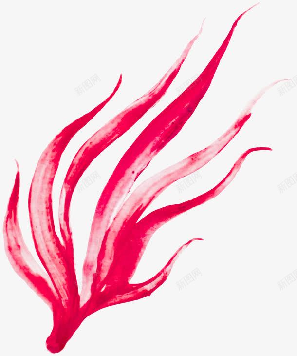 粉色水彩画海草png免抠素材_88icon https://88icon.com 唯美 水墨画 水彩画 水草 海洋生物 海草 海葵图片 粉色 装饰图案