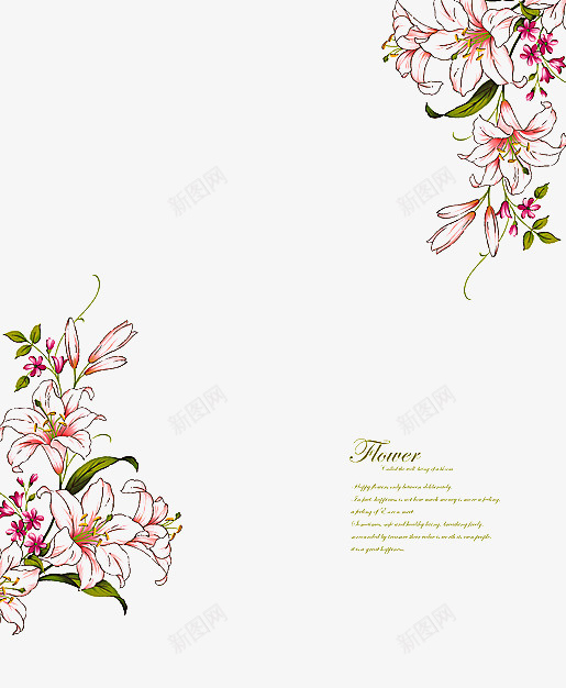 优雅手绘百合花对角花纹png免抠素材_88icon https://88icon.com 优雅 对角花 百合花 精美 纹理 背景 花纹 花边 边框 雅致