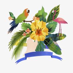 椰树插画鸟儿和植物插画高清图片