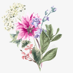 水彩手绘植物花卉矢量图素材
