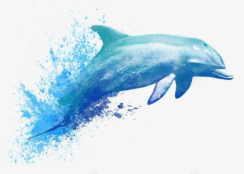 水彩海豚png免抠素材_88icon https://88icon.com 动物 卡通海豚 手绘海豚 海洋 环保 蓝色海豚