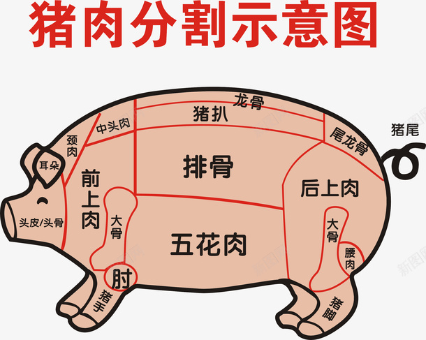 手绘猪肉分割标注图透明png免抠素材_88icon https://88icon.com 分割猪标注图 分割猪肉 手绘猪 手绘猪肉 手绘猪肉分割标注图透明png 手绘猪蹄 猪肉 猪肉分类 猪腿