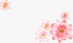 手绘粉色花卉意境画册素材