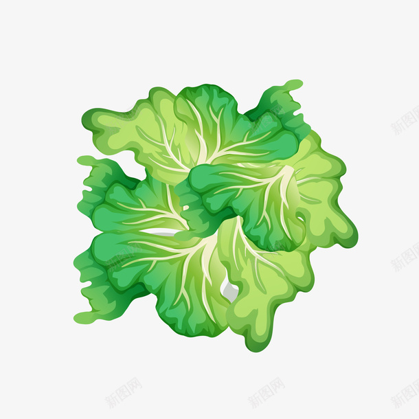 手绘蔬菜植物矢量图ai免抠素材_88icon https://88icon.com 卡通 植物设计 爱心蔬菜 生菜 矢量图 素食 绿色 菜类图片 蔬菜