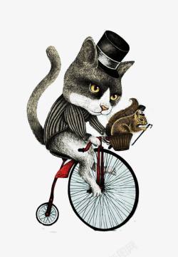 骑单车的猫素材