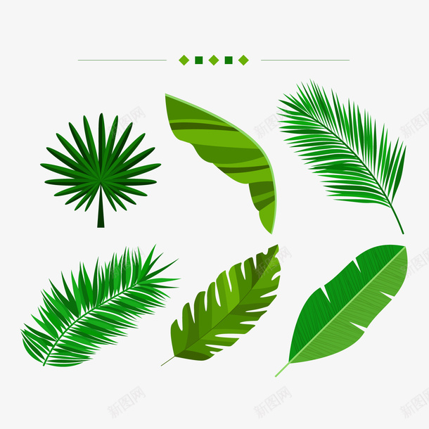 绿色棕榈树叶png免抠素材_88icon https://88icon.com 卡通叶子 卡通植物 小清新 绿色叶子 背景装饰