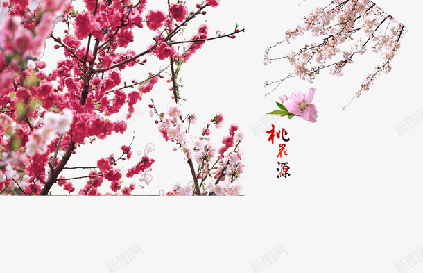 桃花源png免抠素材_88icon https://88icon.com 春天 桃花 植物 粉色