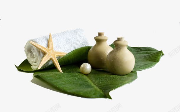 SPApng免抠素材_88icon https://88icon.com 叶子 女性护理 毛巾 海星 美容 足浴