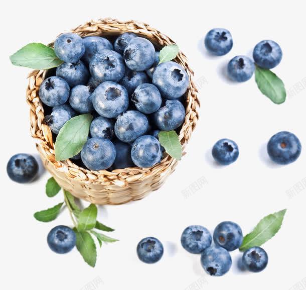 水果蓝莓png免抠素材_88icon https://88icon.com 叶子 水果 竹篮 篮子 蓝莓 食物