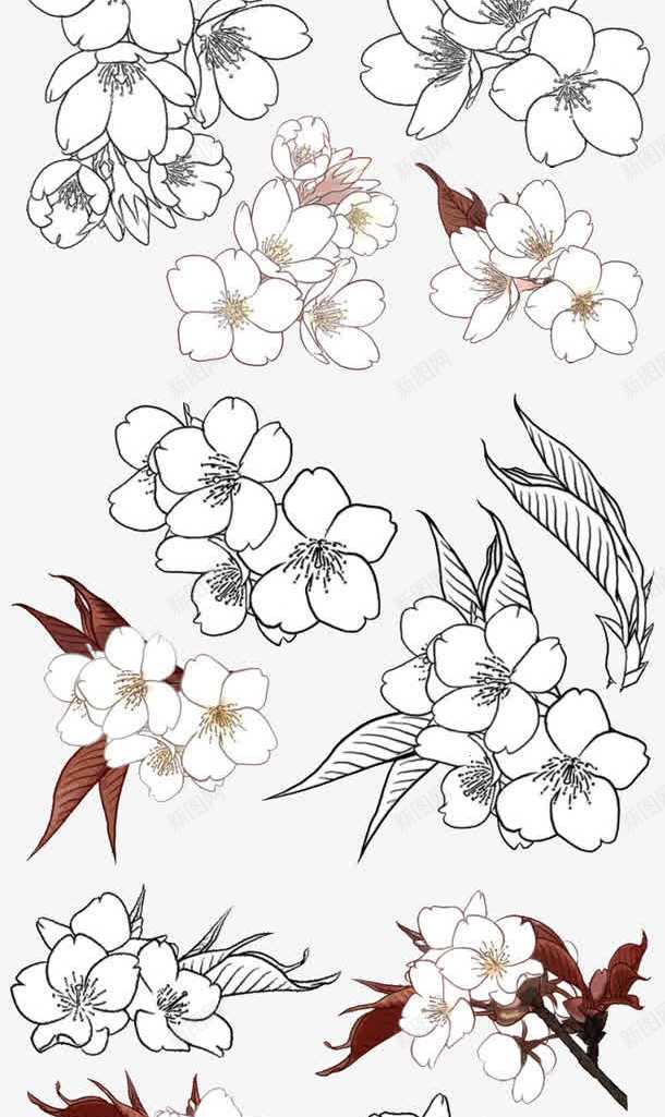 手绘花朵png免抠素材_88icon https://88icon.com 白色花朵 线性图案 线描叶子 线描花朵