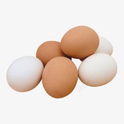 egg鸡蛋高清图片