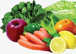 夏日海报水果蔬菜素材