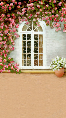 花朵窗户蔷薇H5背景背景