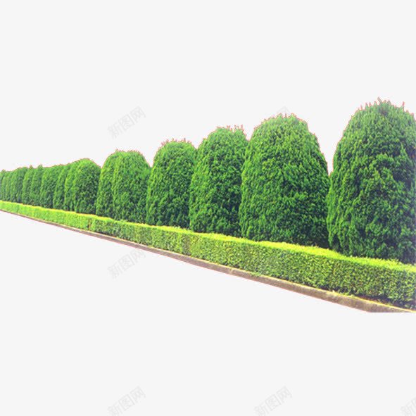 园林花草png免抠素材_88icon https://88icon.com 建筑绿化装饰 树木 绿化 绿色植物 花丛 花卉 花束