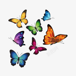 飞翔的蝴蝶彩色逼真蝴蝶手绘矢量图高清图片
