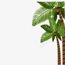 棕色椰子右侧棕色条纹椰棕树绿色树叶高清图片