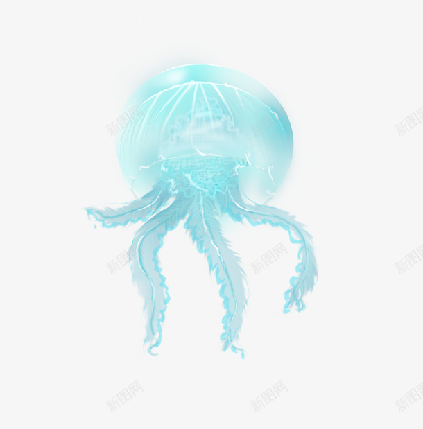 海洋生物水母png免抠素材_88icon https://88icon.com 卡通 彩色水母 手绘 水母 海洋 红色水母 蓝色