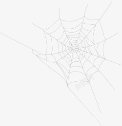 节日鬼怪黑色线条蜘蛛网高清图片