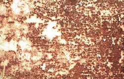 细碎红褐色不规则金属锈斑高清图片