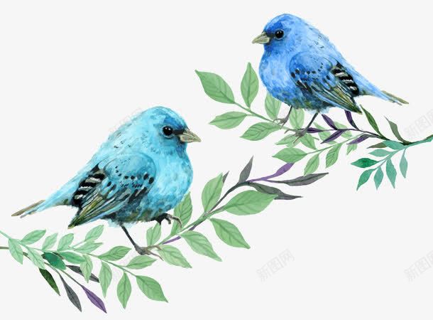 2只树枝上的蓝色鸟png免抠素材_88icon https://88icon.com 蓝知更鸟水彩树枝鸟