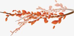 美丽的秋叶红色树叶枝头高清图片