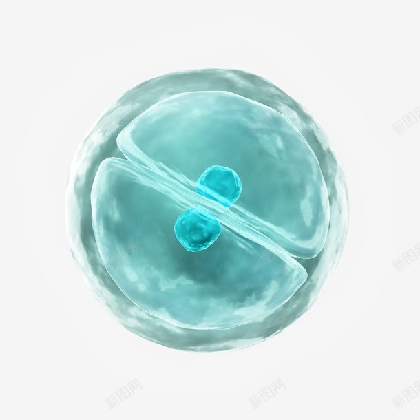 显微镜下的细胞真菌生物结构png免抠素材_88icon https://88icon.com 医疗 显微镜 生物 生物学 生物研究 真菌 细胞 细菌 高清大图