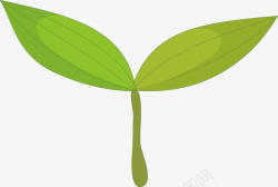 手绘绿色植物插画素材