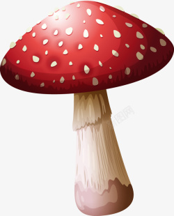 手绘蘑菇卡通手绘蘑菇高清图片
