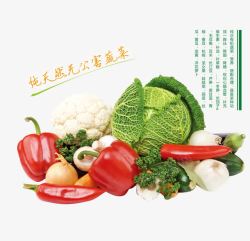 超市广告清新有机蔬菜宣传海报高清图片