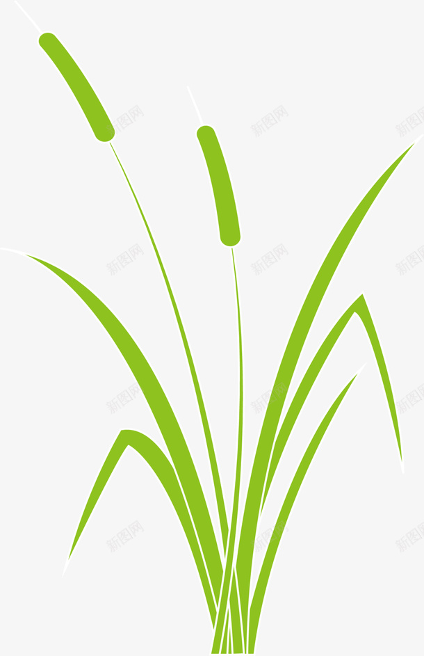 绿色春季芦苇植物png免抠素材_88icon https://88icon.com 小草 春天 春季 春日 植物 自然 芦苇 草丛 鲜嫩的小草