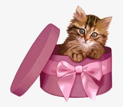 情人节送给爱人的可爱猫咪礼物素材
