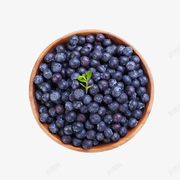 蓝莓png免抠素材_88icon https://88icon.com 产品实物 水果 蓝色 蓝莓