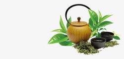 品茶春茶茶叶高清图片